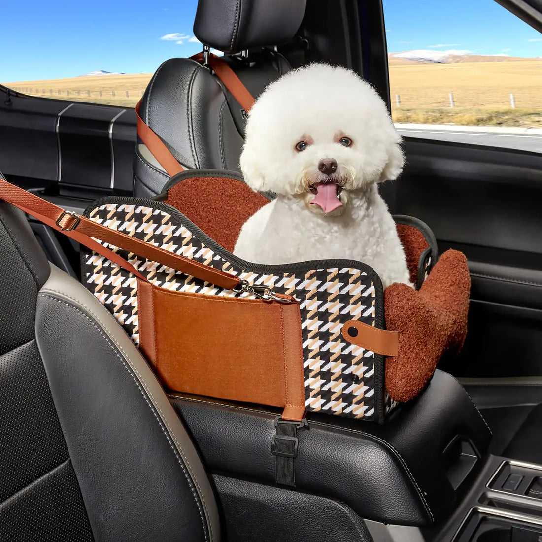 Pet Travel Accessories for Safe Car Rides